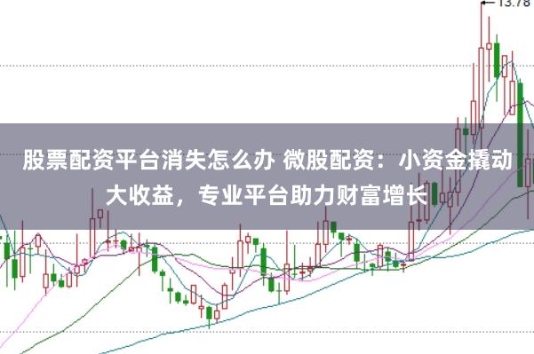 股票配资平台消失怎么办 微股配资：小资金撬动大收益，专业平台助力财富增长