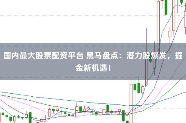 国内最大股票配资平台 黑马盘点：潜力股爆发，掘金新机遇！