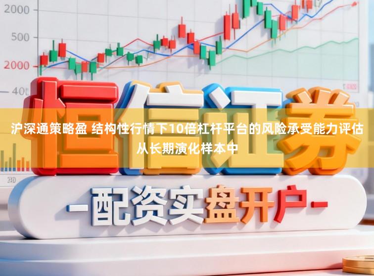 沪深通策略盈 结构性行情下10倍杠杆平台的风险承受能力评估从长期演化样本中