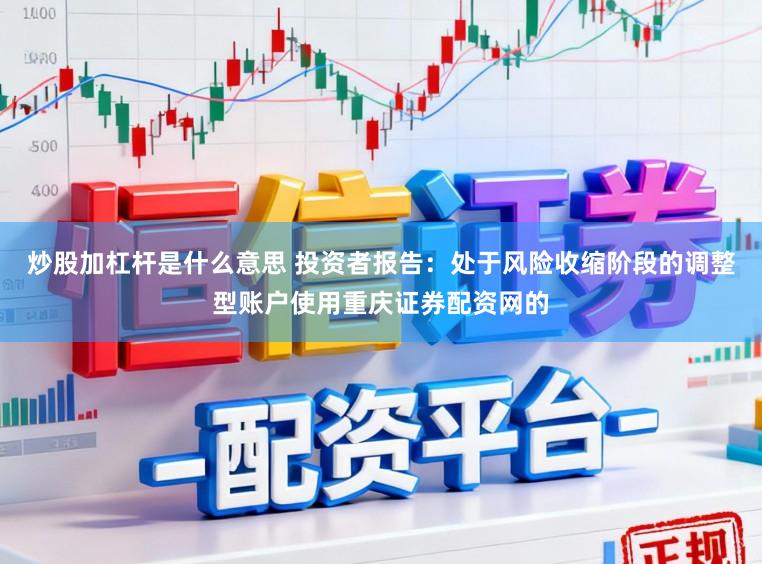 炒股加杠杆是什么意思 投资者报告：处于风险收缩阶段的调整型账户使用重庆证券配资网的