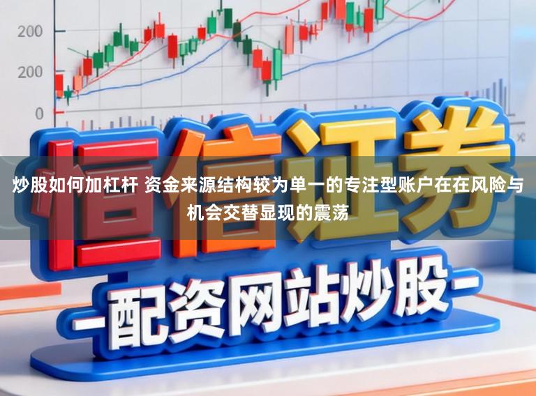 炒股如何加杠杆 资金来源结构较为单一的专注型账户在在风险与机会交替显现的震荡