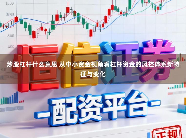 炒股杠杆什么意思 从中小资金视角看杠杆资金的风控体系新特征与变化